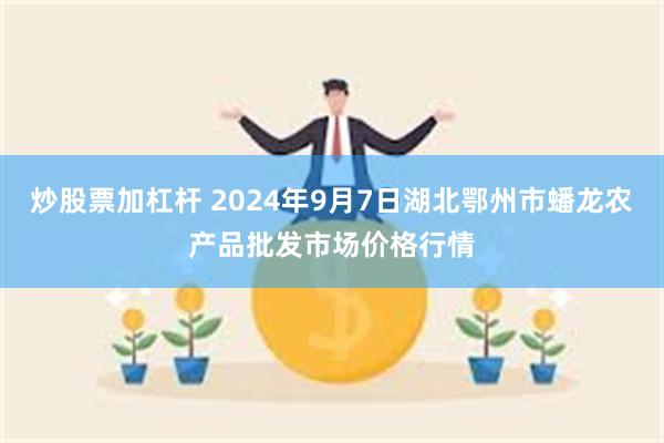 炒股票加杠杆 2024年9月7日湖北鄂州市蟠龙农产品批发市场价格行情