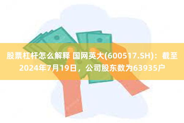 股票杠杆怎么解释 国网英大(600517.SH)：截至2024年7月19日，公司股东数为63935户