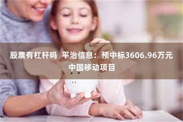 股票有杠杆吗  平治信息：预中标3606.96万元中国移动项目