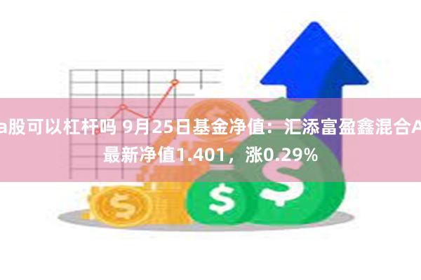 a股可以杠杆吗 9月25日基金净值：汇添富盈鑫混合A最新净值1.401，涨0.29%