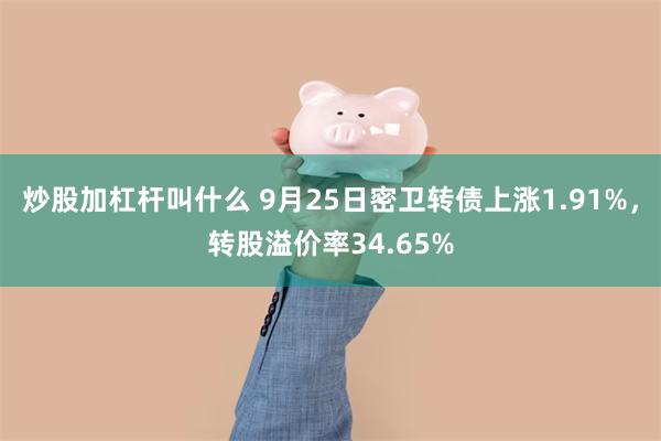 炒股加杠杆叫什么 9月25日密卫转债上涨1.91%，转股溢价率34.65%