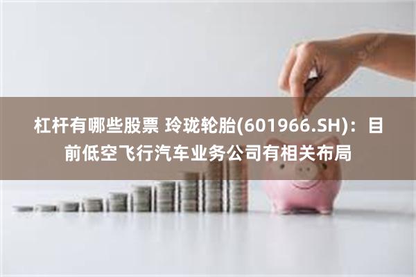 杠杆有哪些股票 玲珑轮胎(601966.SH)：目前低空飞行汽车业务公司有相关布局