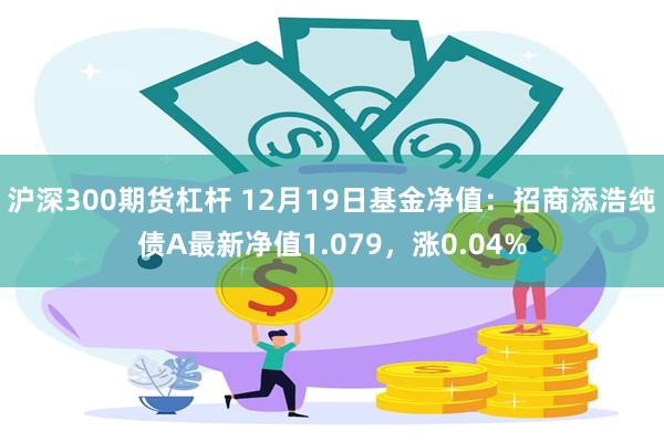 沪深300期货杠杆 12月19日基金净值：招商添浩纯债A最新净值1.079，涨0.04%