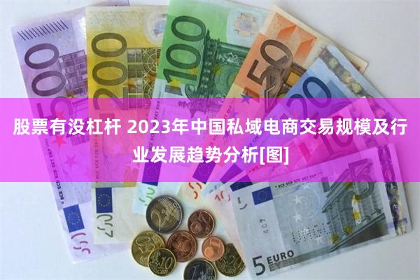 股票有没杠杆 2023年中国私域电商交易规模及行业发展趋势分析[图]