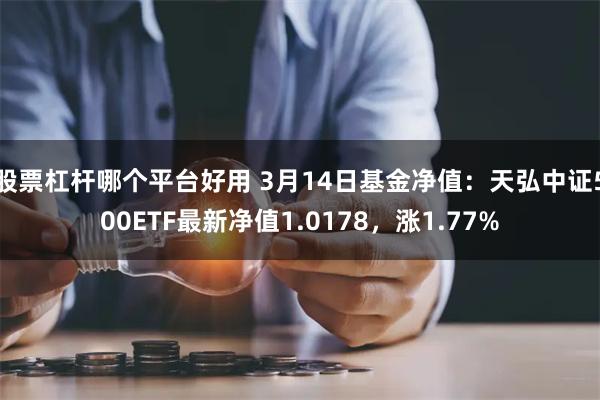 股票杠杆哪个平台好用 3月14日基金净值：天弘中证500ETF最新净值1.0178，涨1.77%